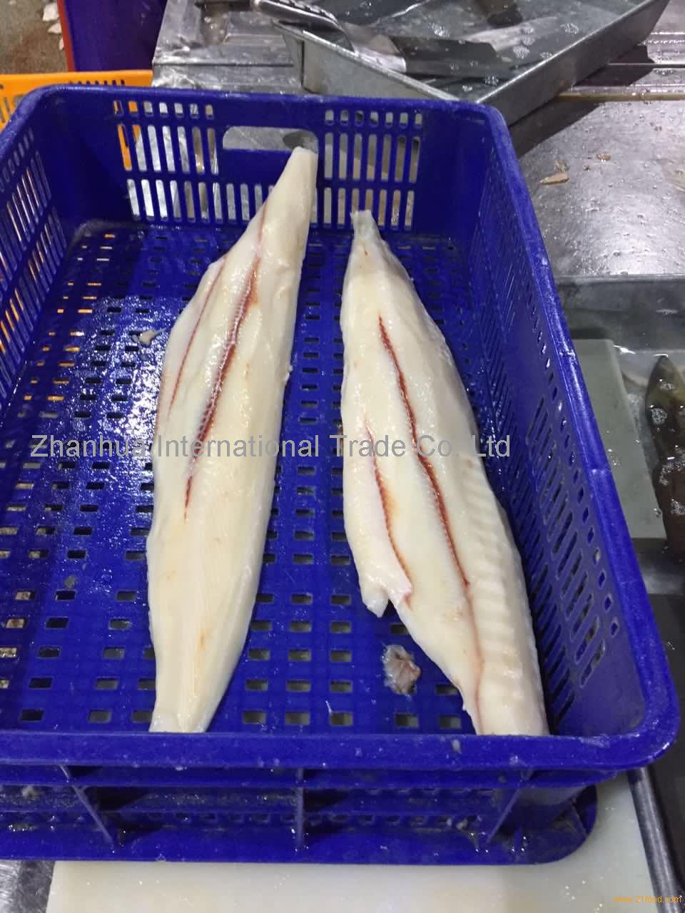 bronze shark fillet for AU market,China OEM price supplier - 21food