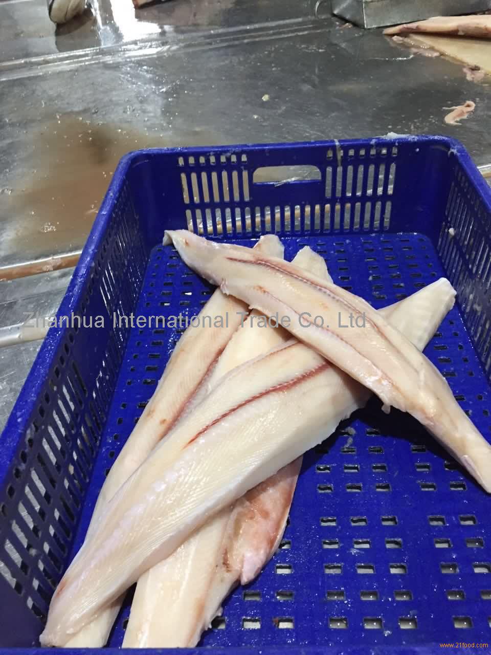 bronze shark fillet for AU market products,China bronze shark fillet ...