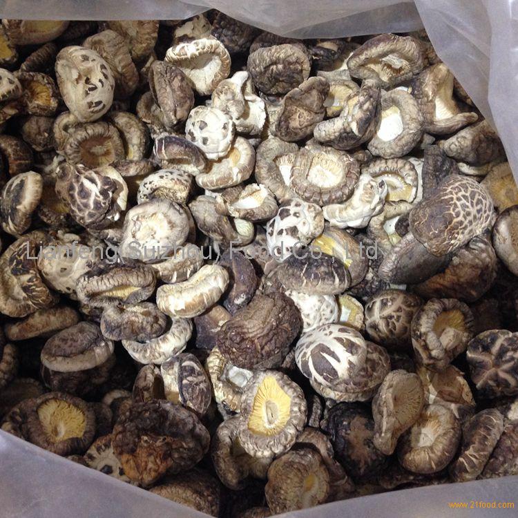 Bulk Dried Tea Flower Shiitake Mushroom Whole China Oem Ever Shine