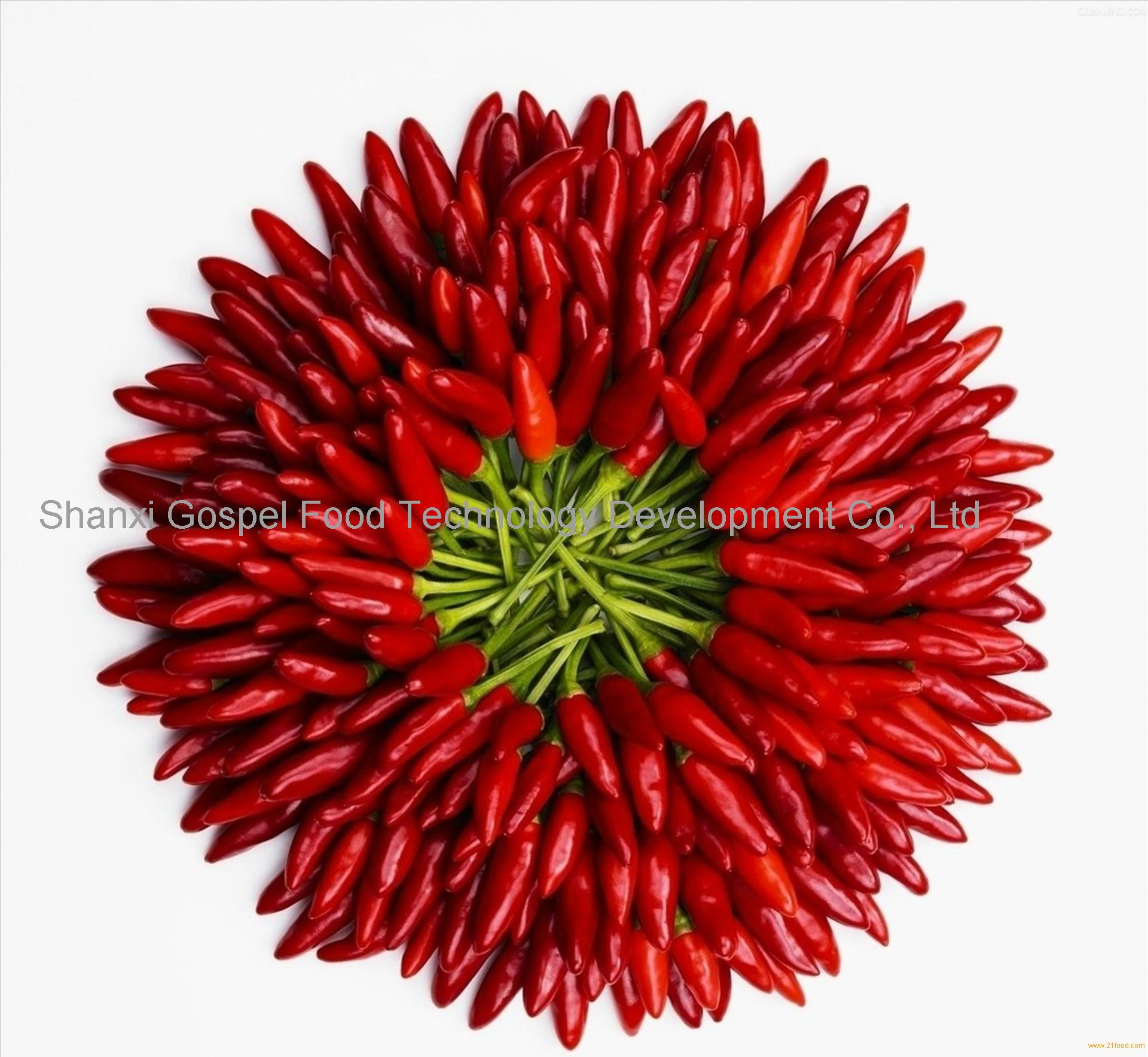 china-origin-red-pepper-chili-china-fuyin-price-supplier-21food