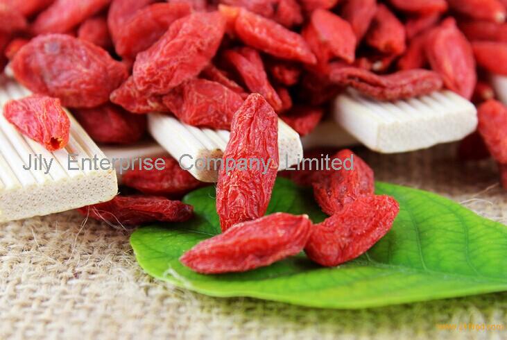 Ningxia Goji Berry Plant Extract Wolfberry P.E. 50% Polysaccharide