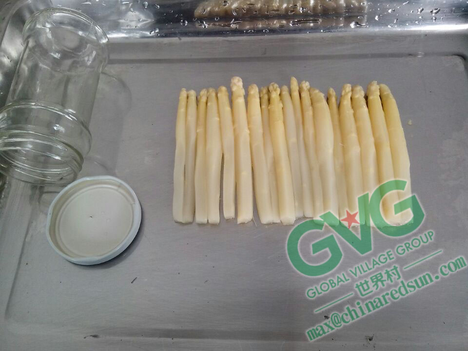white asparagus green asparagus