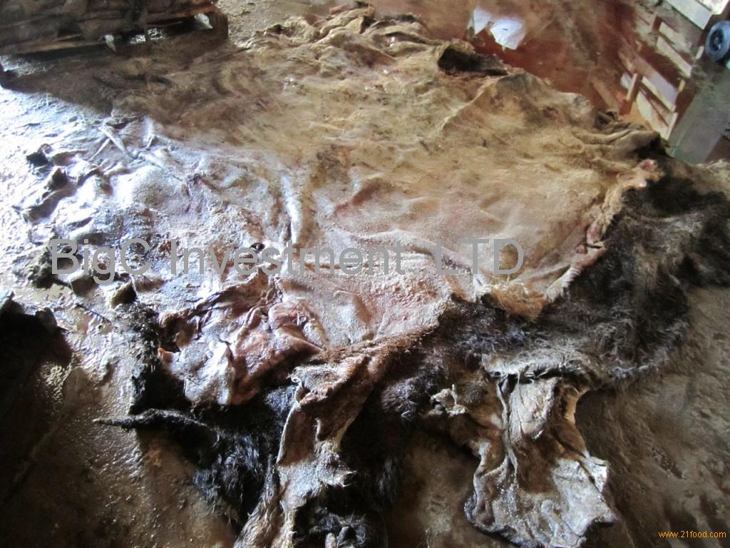 buyers of raw hides buyers of raw hides