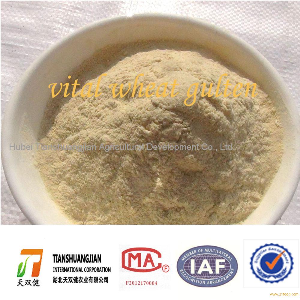 vital-wheat-gluten-from-china-selling-leads-21food