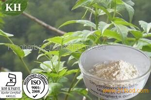 Vine Tea Extract De-bitterness Dihydromyricetin ( DMY ) 50%, 85%, 90%, 98% (HPLC)