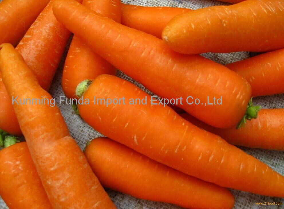fresh carrot
