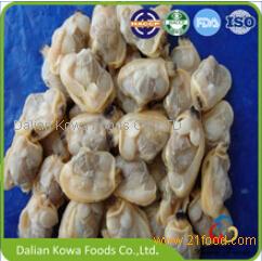 Frozen Boiled Short Necked Clam Meat China KOWA Or Customerized Price