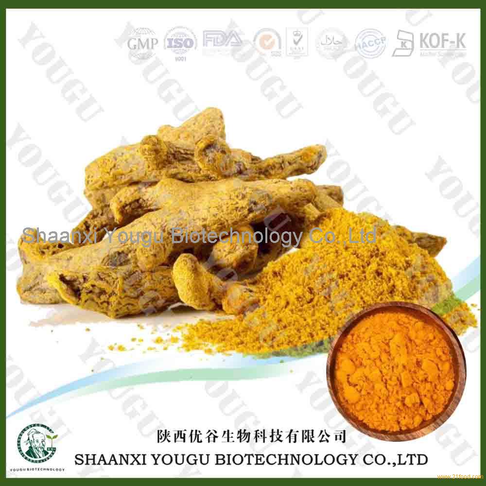 China Curcumin powder, Turmeric,Curcuma Longa extract powder factory