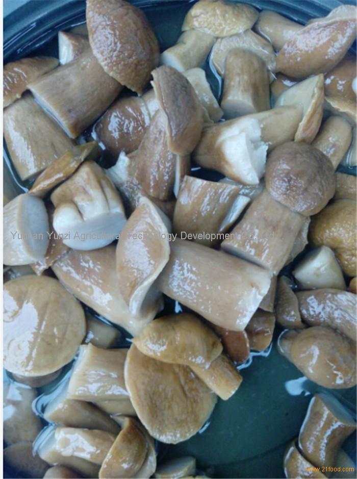 Boletus Edulis in Brine Whole