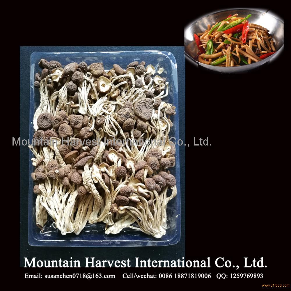 Dried Tea Tree Shiitake Mushroom China Price Supplier Food