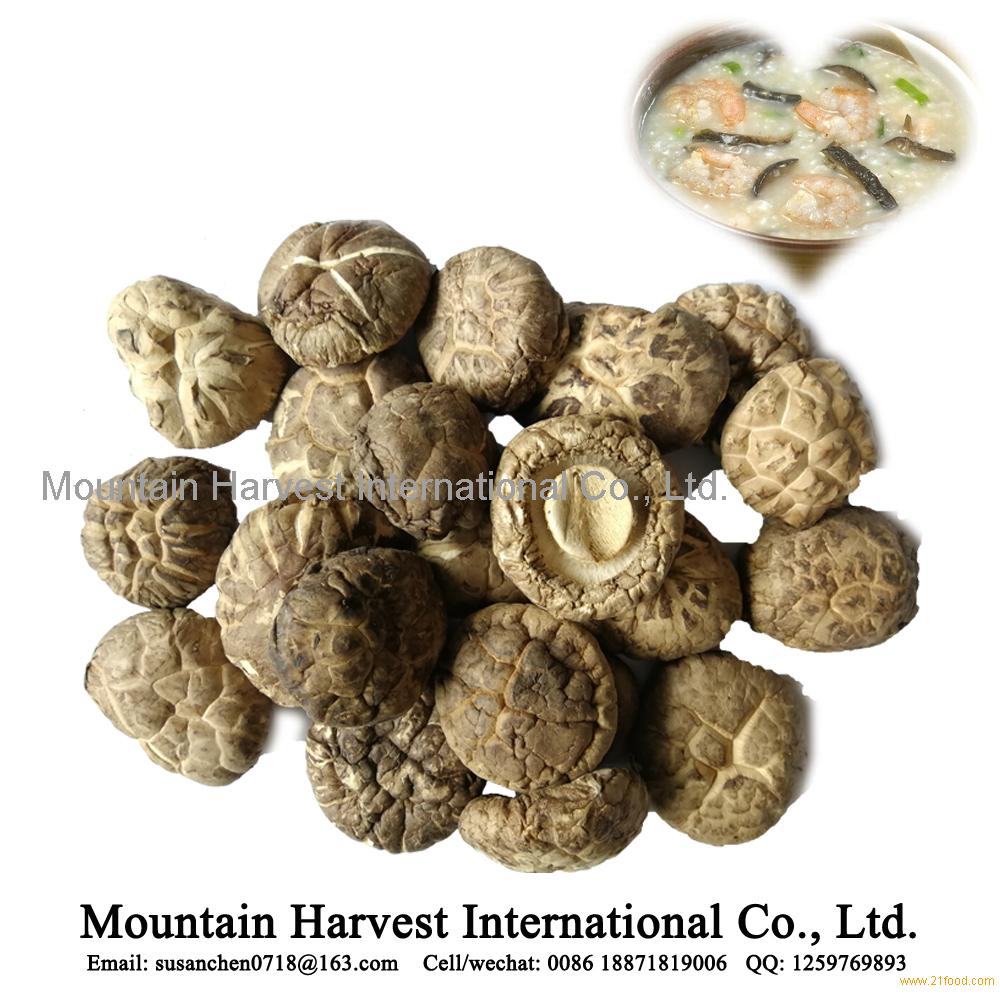 Dried Tea Flower Shiitake Mushroom China Price Supplier 21food