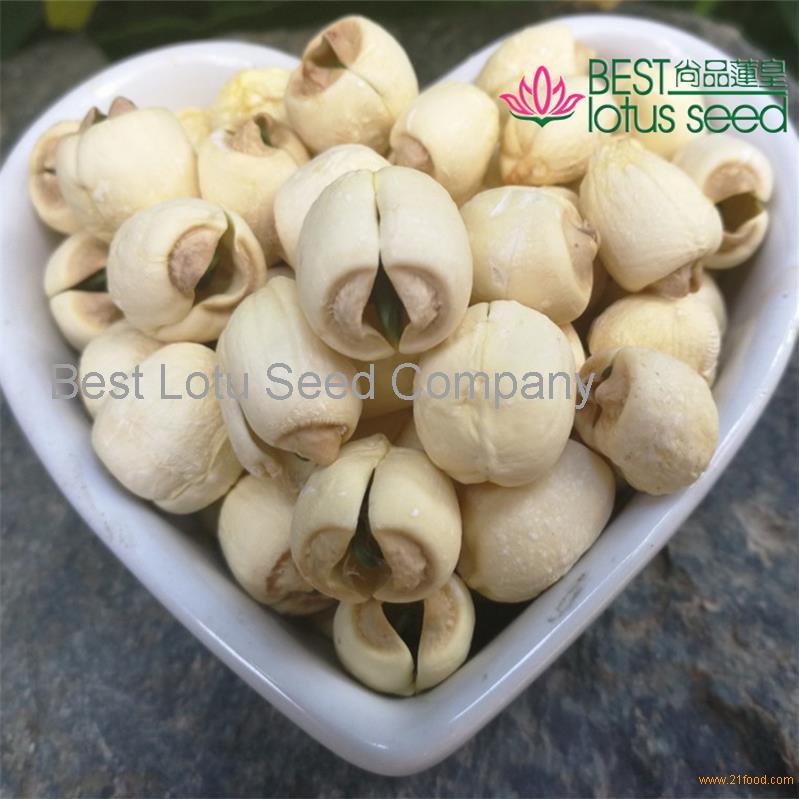 Handmade Lotus Seed Nut Kernel with Core Plumele Lotus Extract