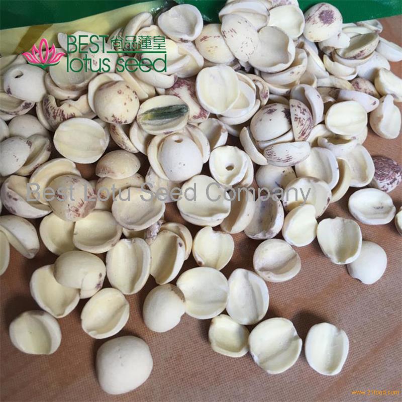 lotus seed paste for sale