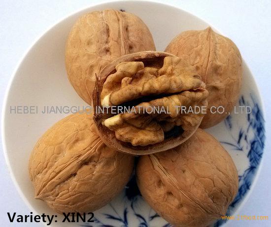 XIN2/NEW2 walnut inshell