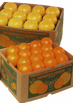 Fresh Oranges, apples and bananas