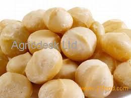 marcadamia nuts