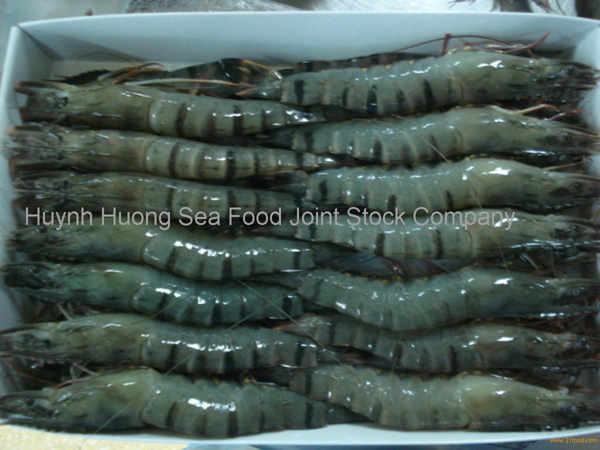 IQF Black Tiger Shrimp HOSO,Vietnam price supplier - 21food