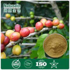 Organic Green Coffee Bean 20%-50% Extract Chlorogenic acid