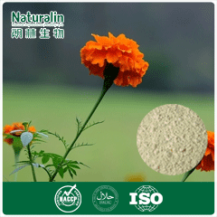  Marigold   Extract   powder 