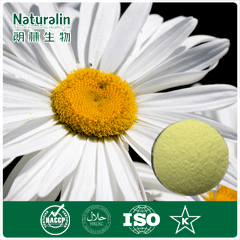  Chamomile   Extract 