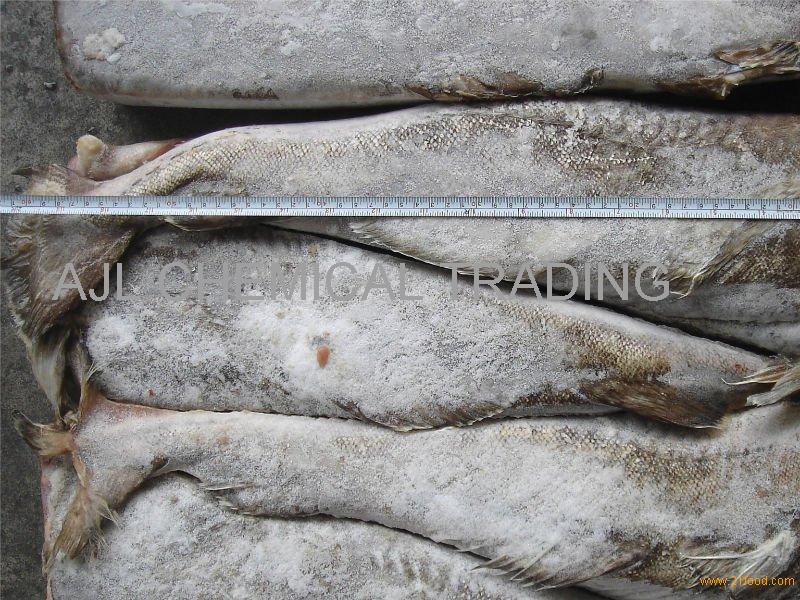 Frozen Pacific Codgermany Frozen Pacific Cod Price Supplier 21food