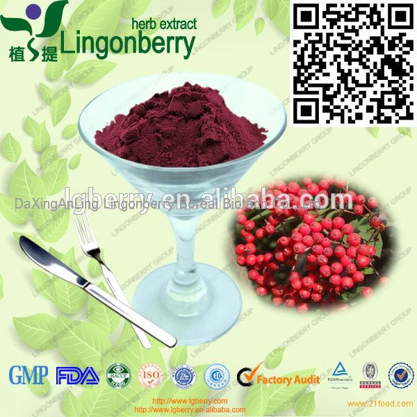 Chokeberry Extract, anthocyanin GMP factory