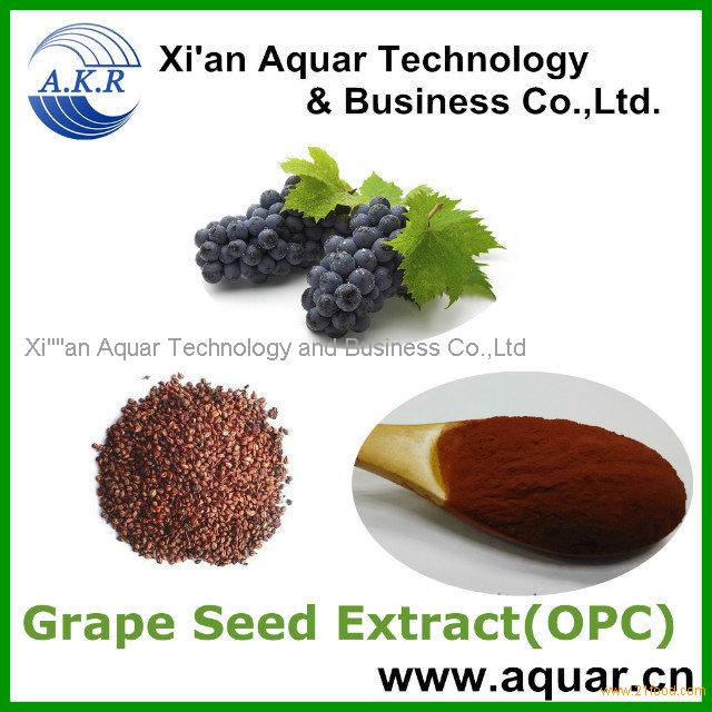 Grape Seeds Extract with Polyphenols 95% and water soluble grape seed extract 95%