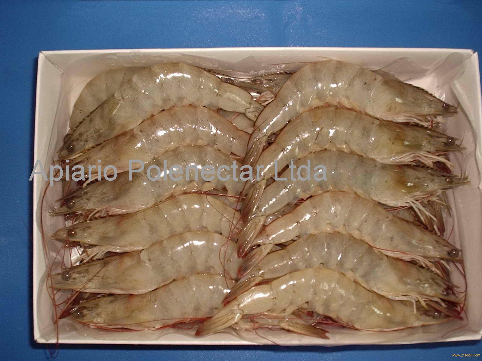 Vannammei shrimp