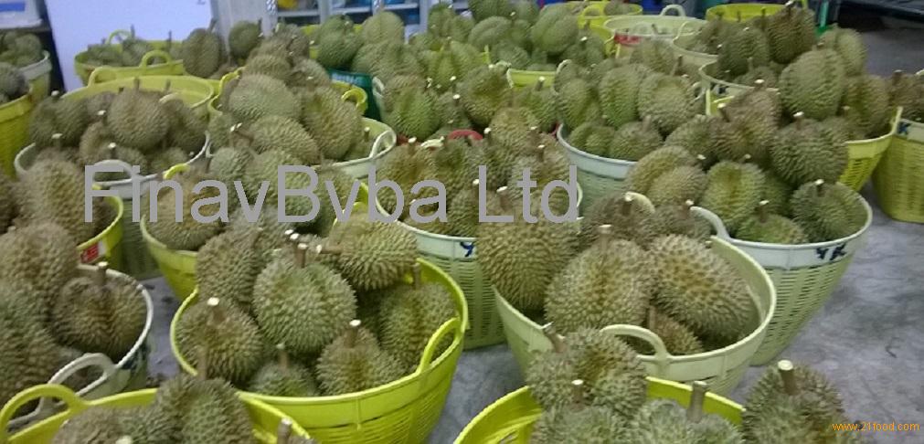 Fresh Durian Fruits,Belgium PGTD price supplier - 21food