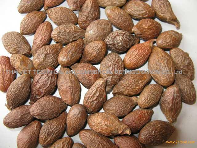 malva-nut-vietnam-price-supplier-21food