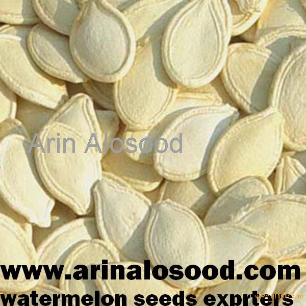 Looking for importers of watermelon seeds