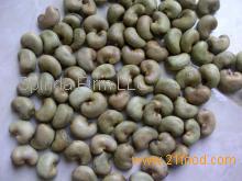 Raw cashew nuts with shell