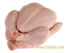 Halal Frozen Whole Chicken Ready for Export