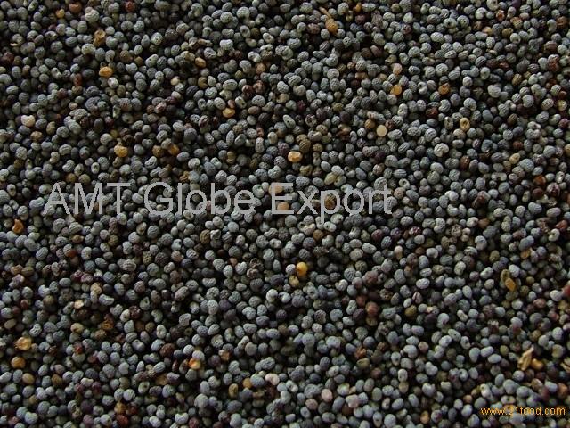 Poppy Seeds