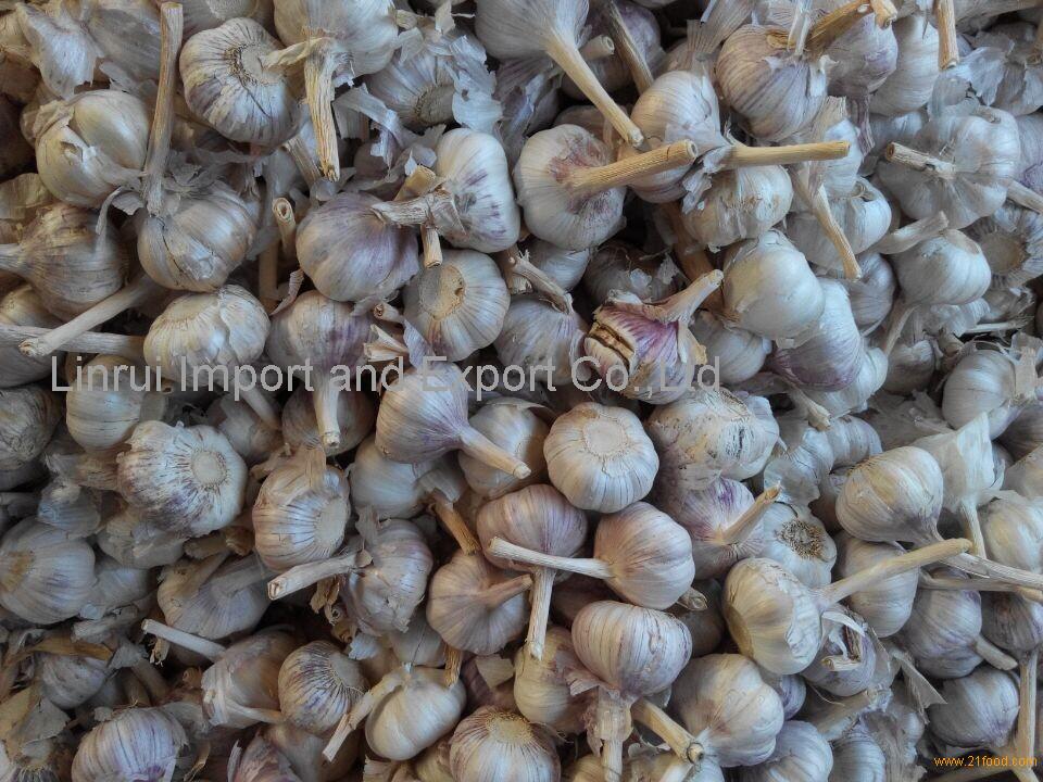 new-crop-fresh-garlic-for-wholesale-china-linrui-price-supplier-21food