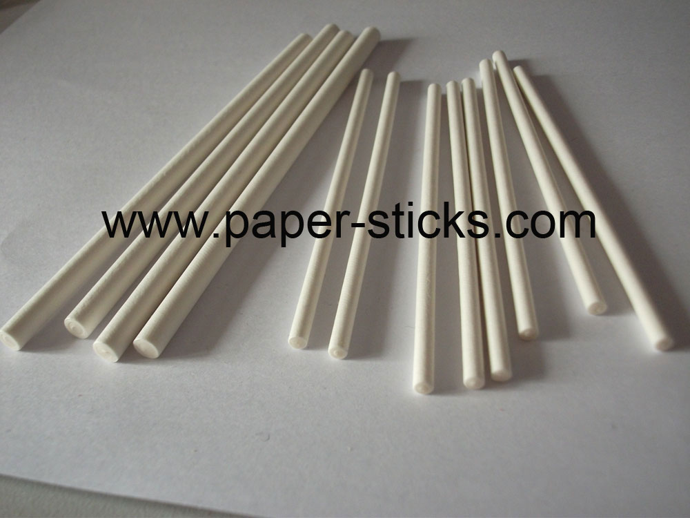 cake pop stick paper stick
