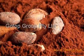 COCOA POWDER