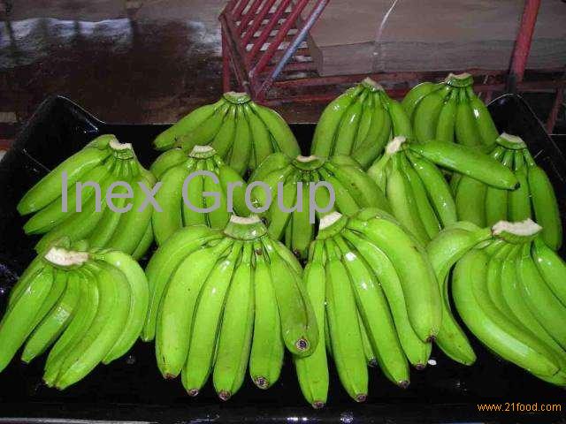 Class A Cavendish Bananas