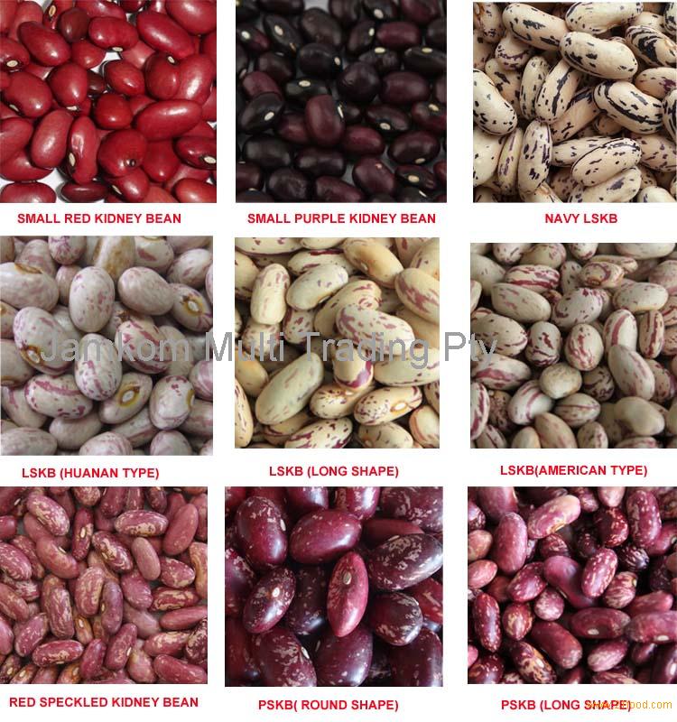 light red kidney beans vs dark red kidney beans