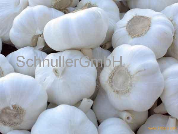 Pure White Fresh Garlic 4.5cm-6.0cm