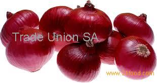 Best Selected Onions