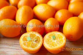 Fresh Kumquat Fruits,South Africa GiVarious price supplier - 21food