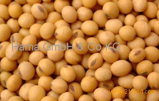 Soya Beans