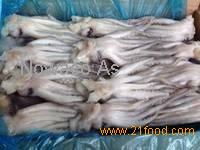 Frozen Squid Tentacles/Squid Head