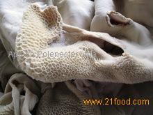 Frozen Beef Tripe & Beef Honey Comb