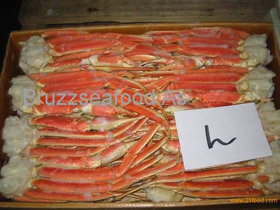 Best Snow Crab Legs For Sale Products Norway Best Snow Crab Legs For Sale Supplier