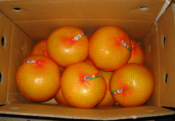 Honey pomelo
