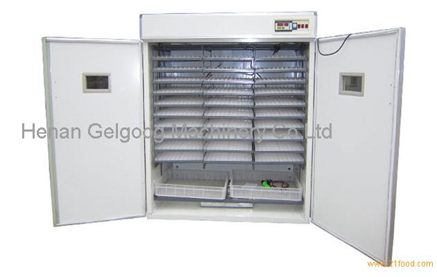 temperature in incubator for chicken eggs