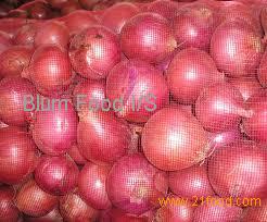 Fresh Red Pickle Onion