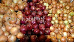 Fresh Red Onions / Yellow Onion
